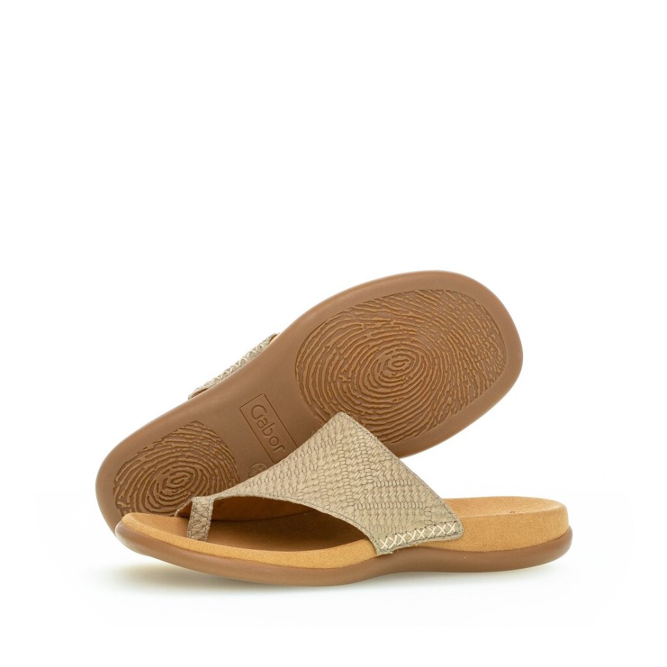 Gabour | Exclusif 83700-40 - Cuir Sauge